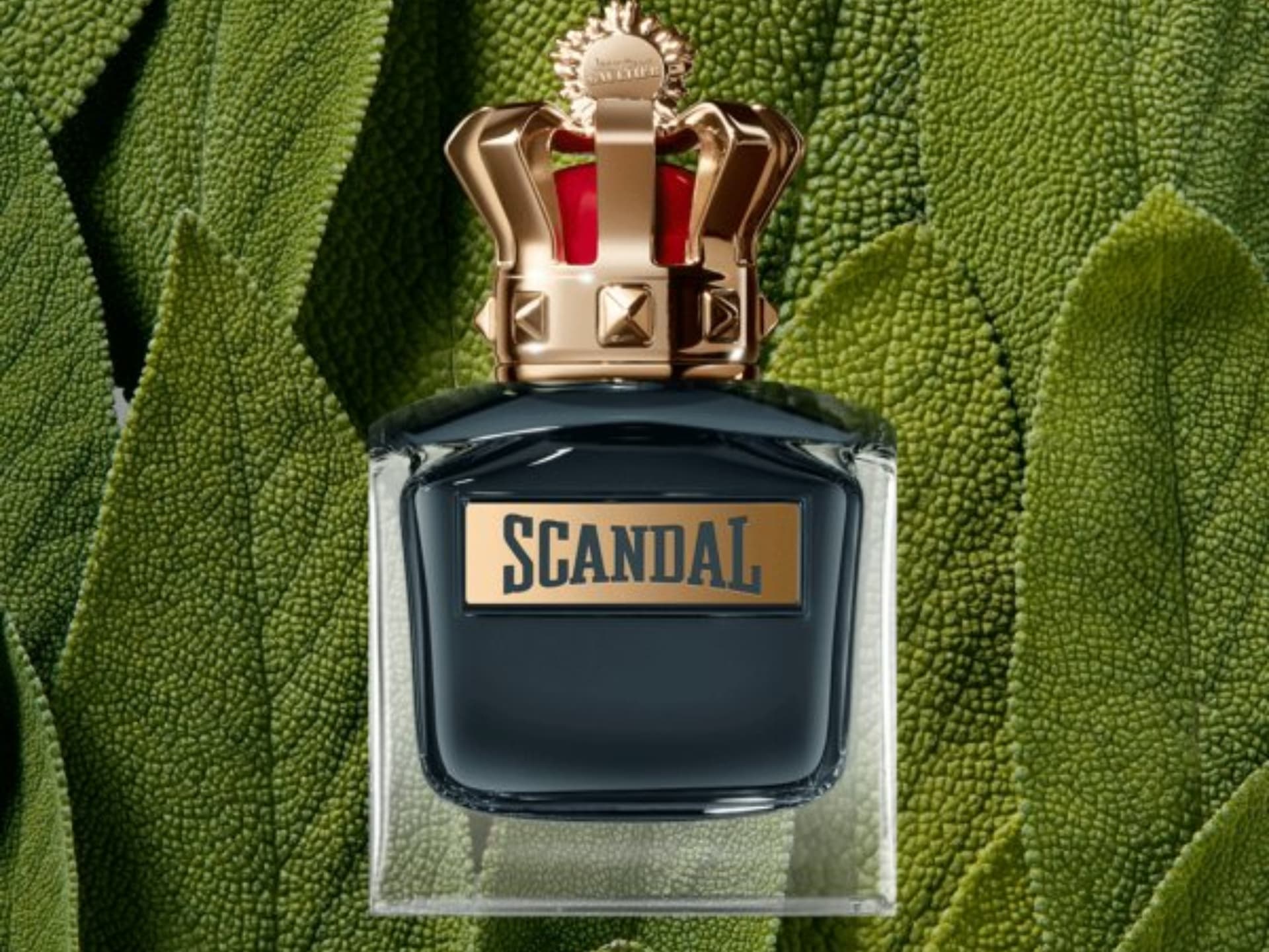 Scandal el perfume para hombres de Jean Paul Gaultier