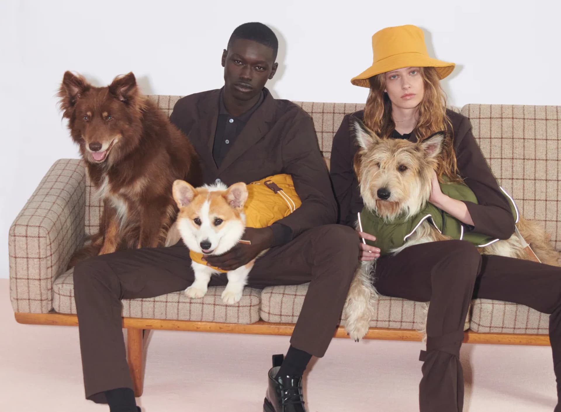 Zara Pet, lanzó su nueva colección de ropa para mascotas