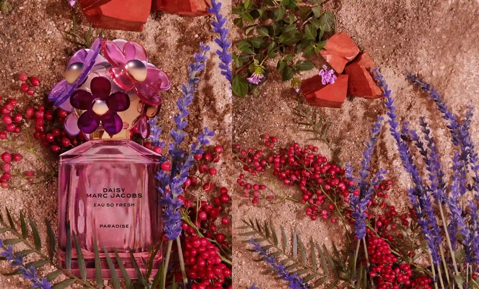 ¿Cómo son los nuevos perfumes Daisy Paradise de Marc Jacobs?