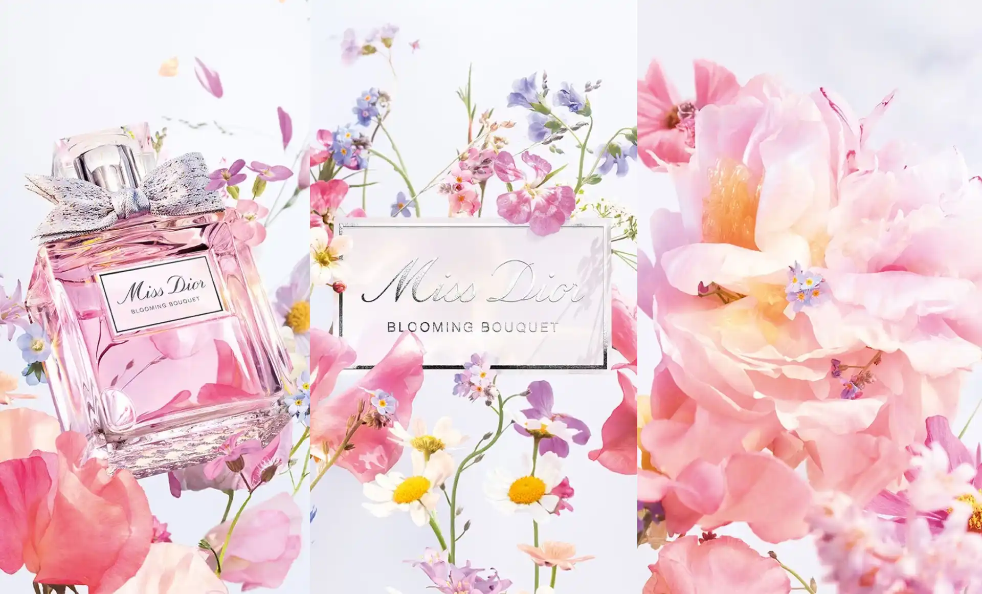 ¿Cómo es la versión 2023 del perfume para mujeres Miss Dior?