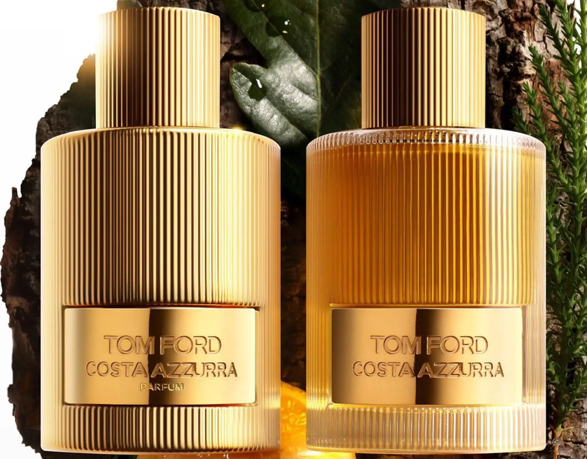 ¿Cuáles son los perfumes más vendidos de Tom Ford?