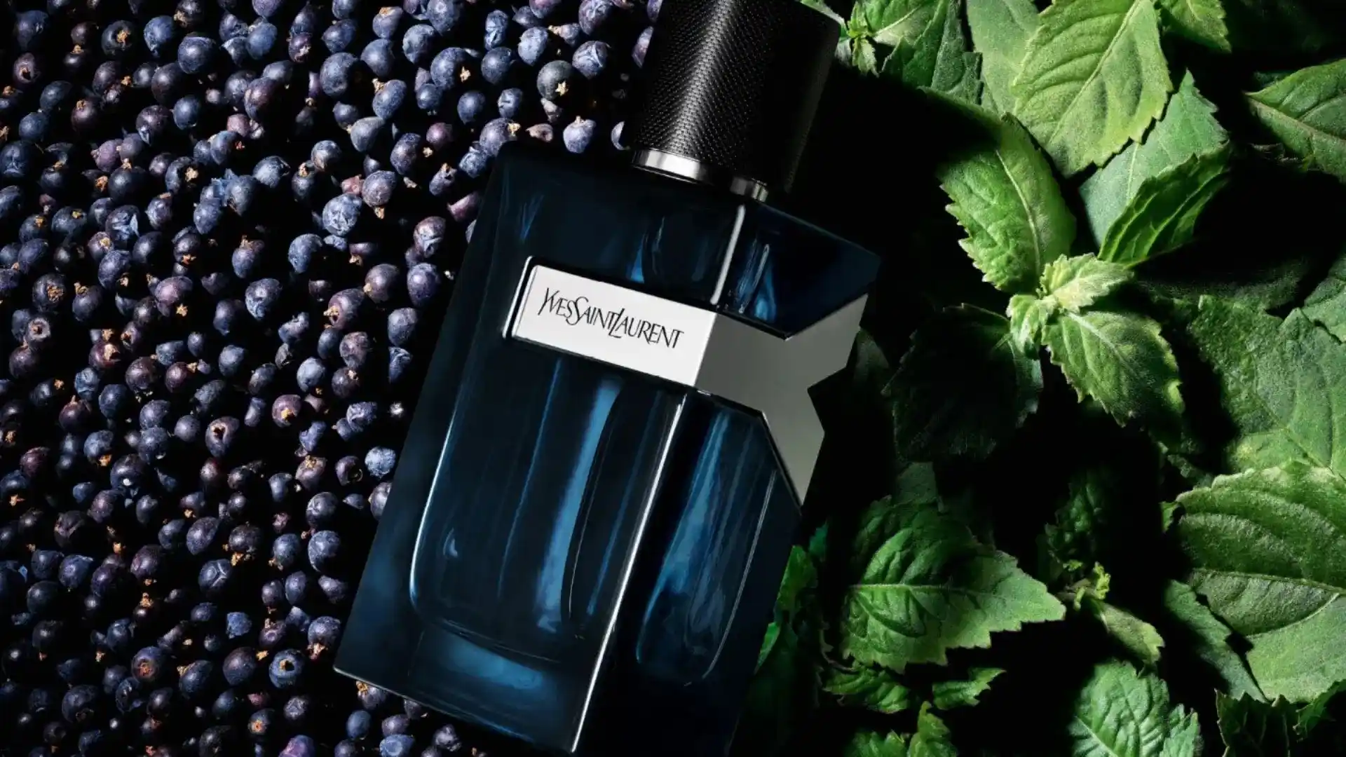 5 perfumes de Yves Saint Laurent para hombres con estilo