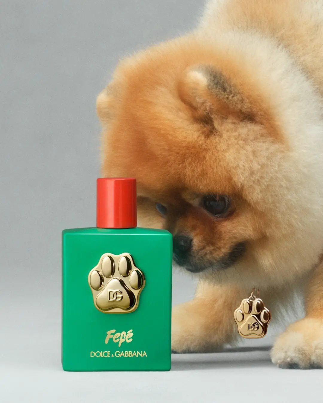 perfume para perros