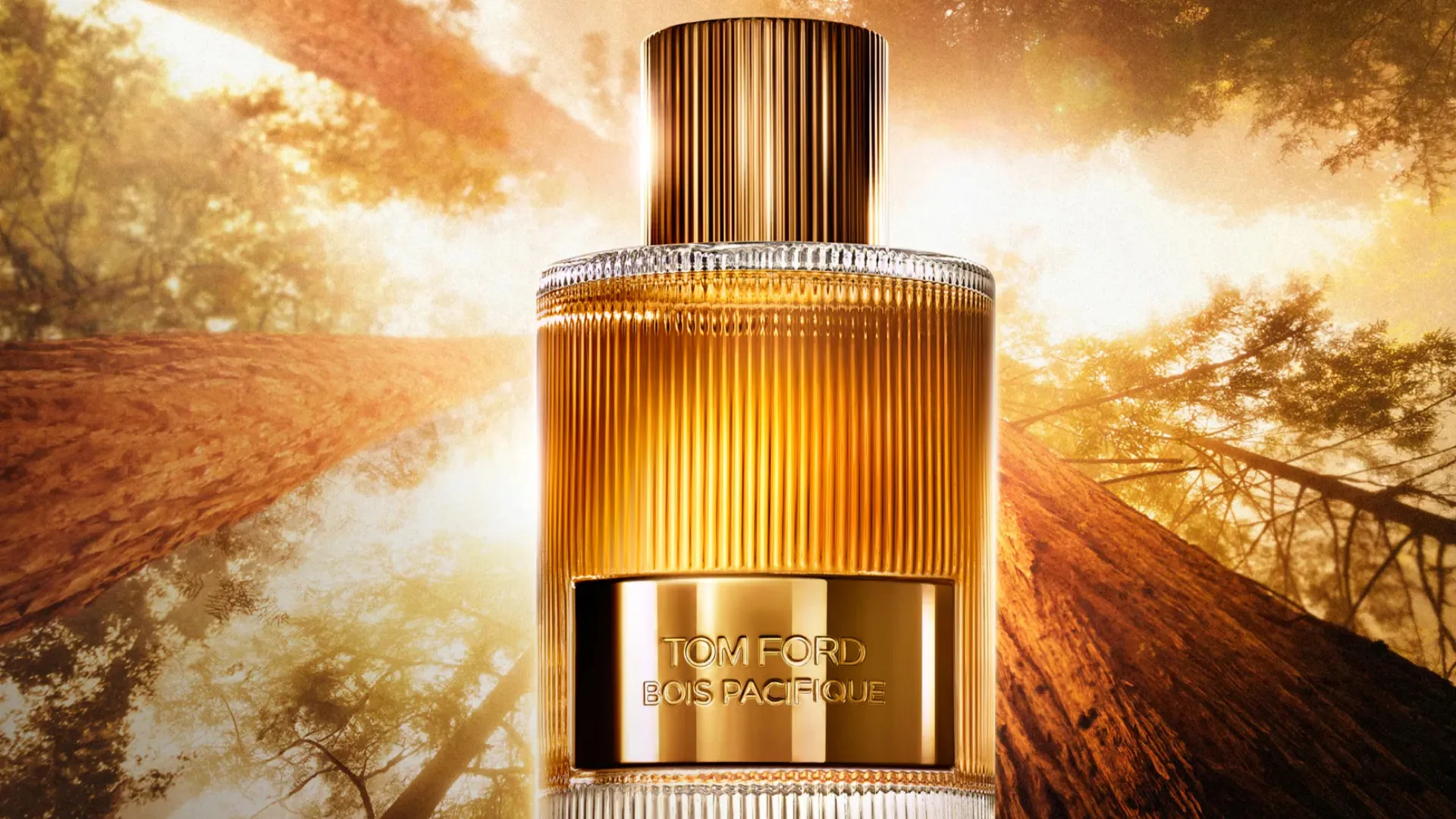 Cinco perfumes para hombres que valen la pena comprar en 2025