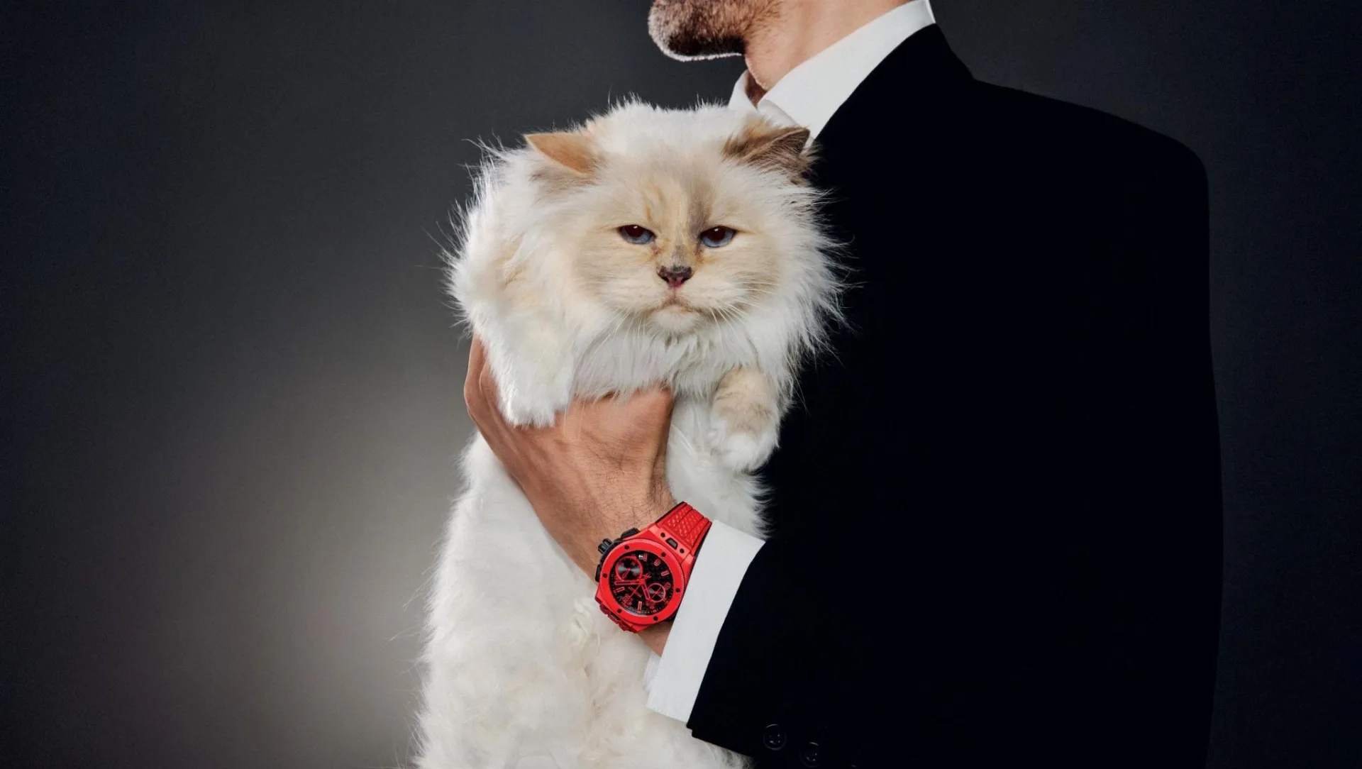 Choupette, la gata de Karl Lagerfeld posa para la campaña de relojes Hublot