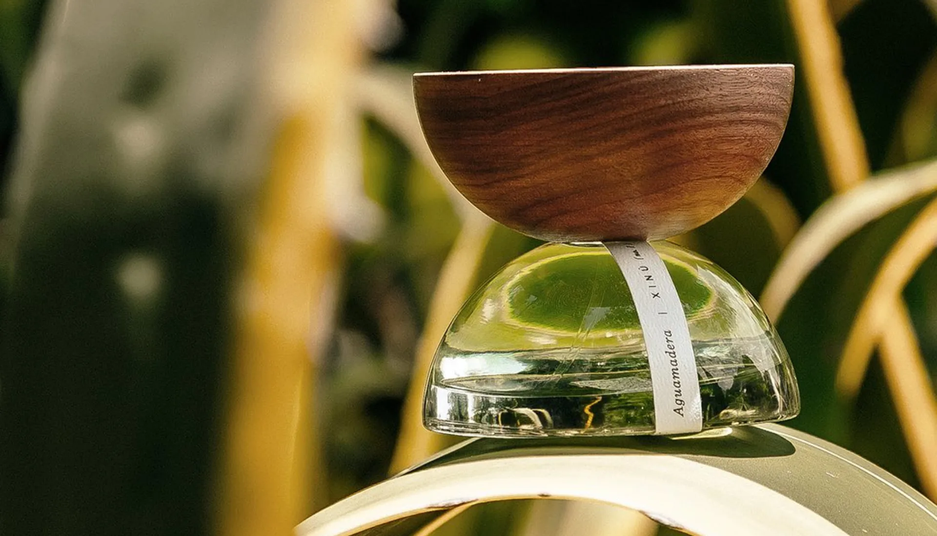 Las mejores marcas Latinas de perfumes y belleza para comprar en 2025